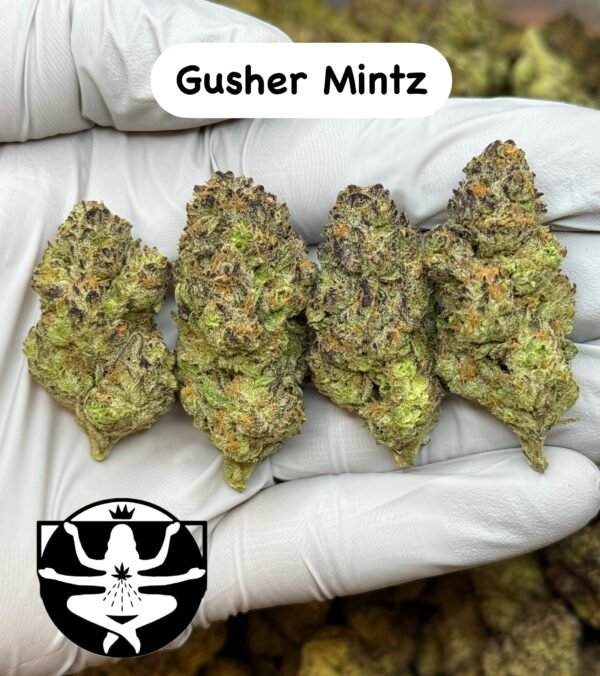 Gusher Mintz